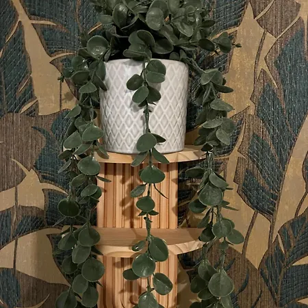 公寓 Wohnen Im Musikerviertel-apartment Sun - *