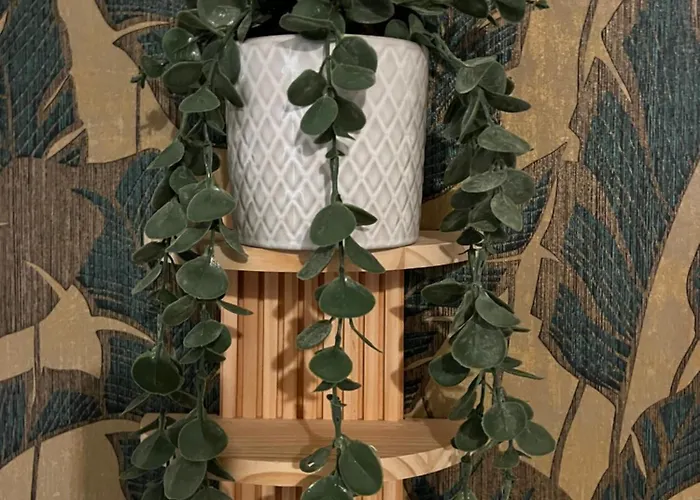 公寓 Wohnen Im Musikerviertel-apartment Sun - *