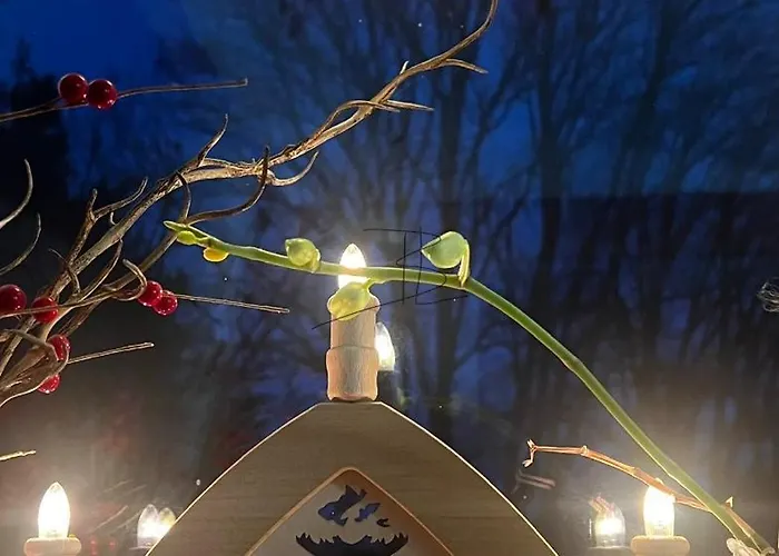 公寓 Wohnen Im Musikerviertel-apartment Sun - 开姆尼茨